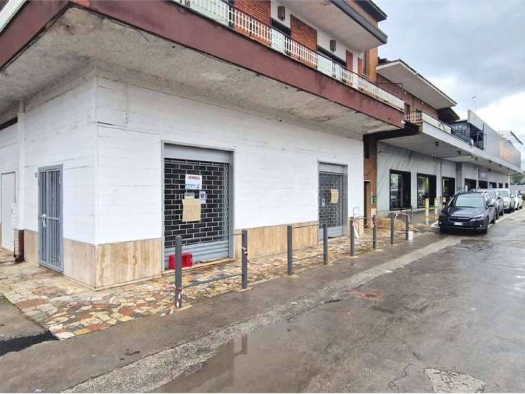 negozio in affitto a Frosinone