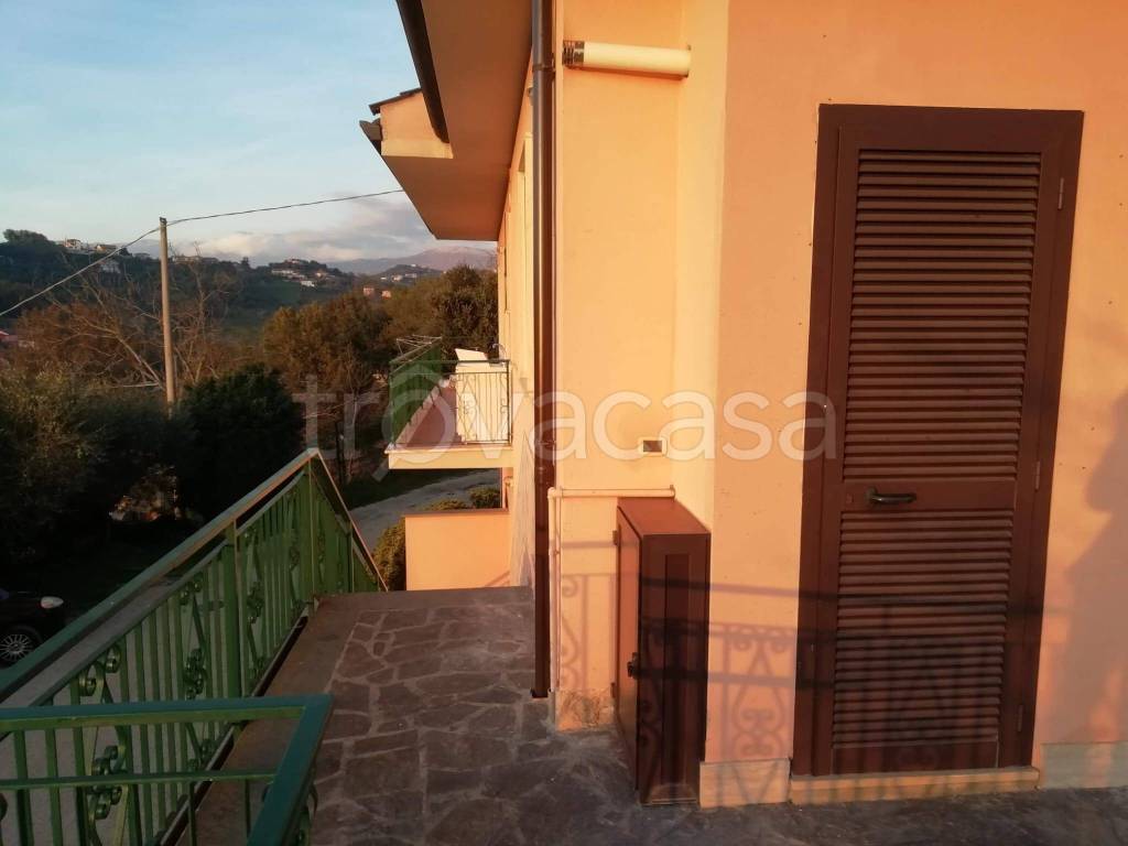 appartamento in affitto a Frosinone