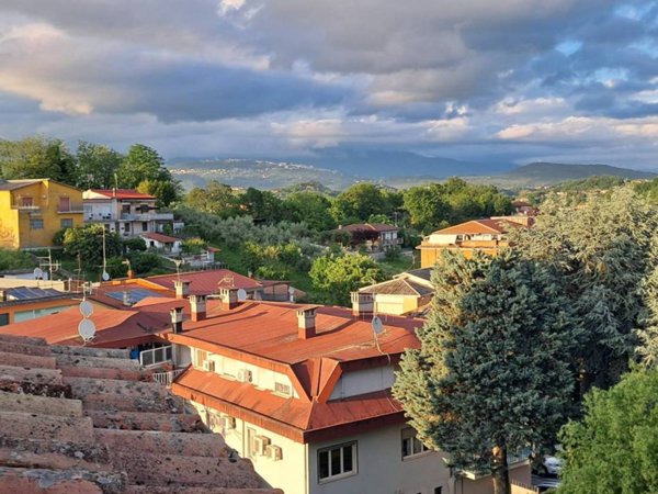 appartamento in affitto a Frosinone