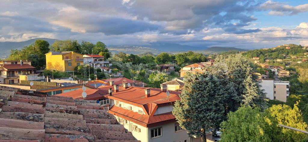 appartamento in affitto a Frosinone