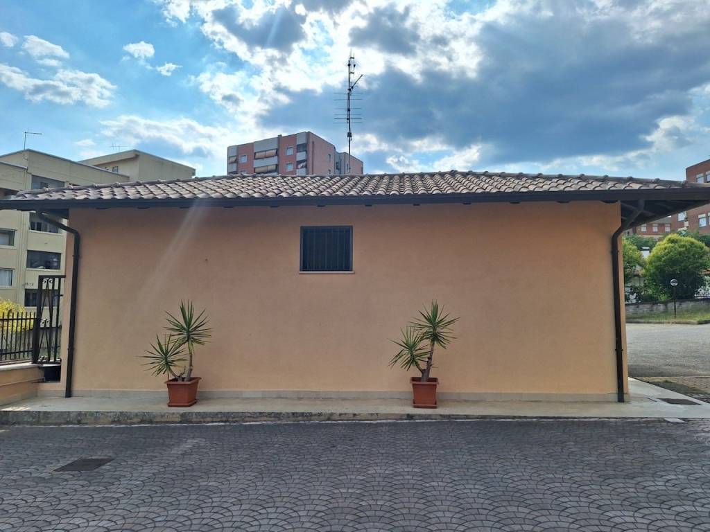 casa indipendente in affitto a Frosinone