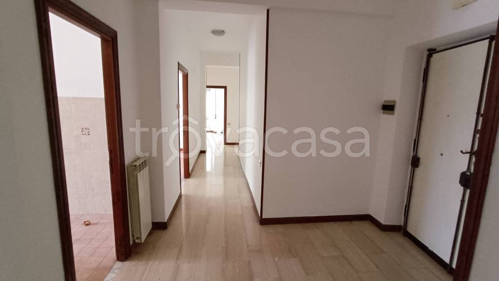 appartamento in affitto a Frosinone