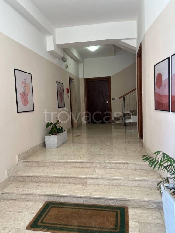 appartamento in affitto a Frosinone