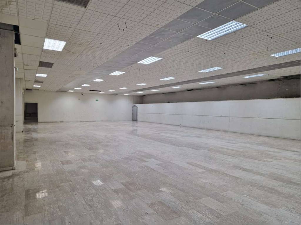 locale commerciale in affitto a Frosinone