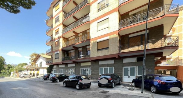 negozio in affitto a Frosinone
