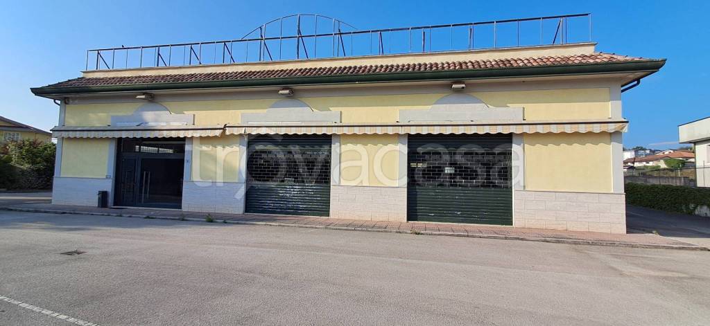 negozio in affitto a Frosinone