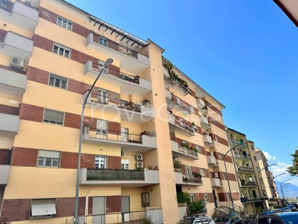 appartamento in affitto a Frosinone