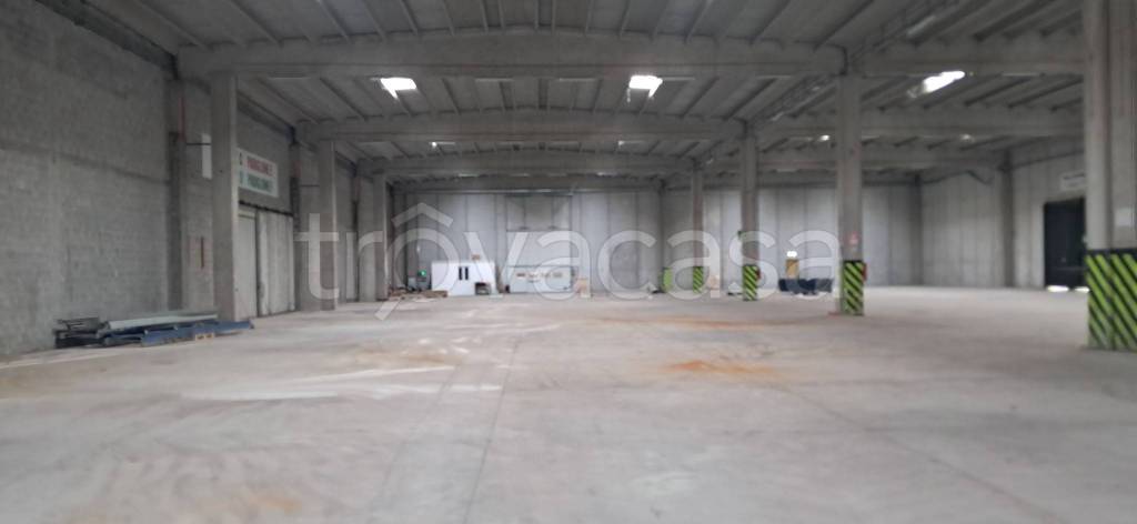 capannone in affitto a Frosinone