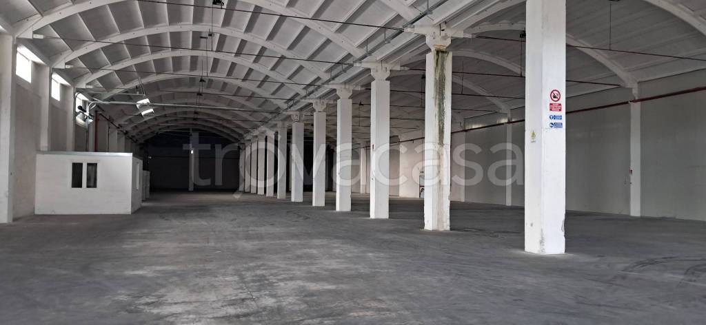 capannone in affitto a Frosinone