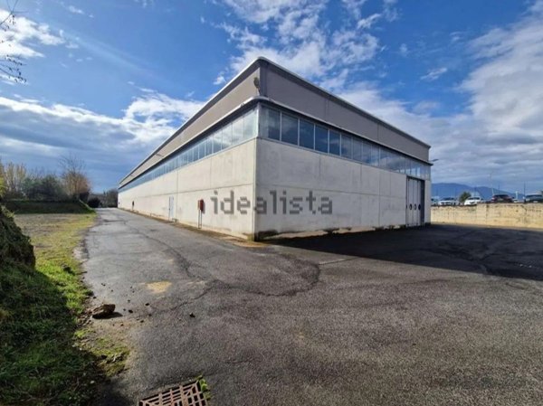 capannone in affitto a Frosinone