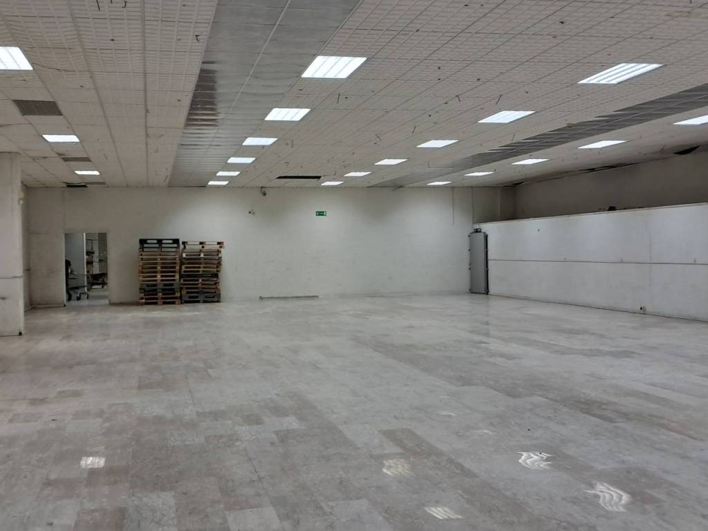 capannone in affitto a Frosinone