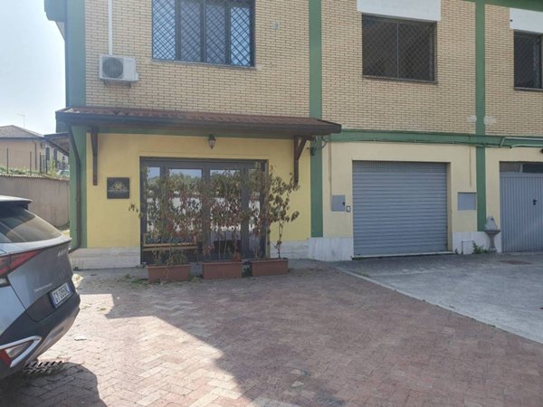 negozio in affitto a Frosinone