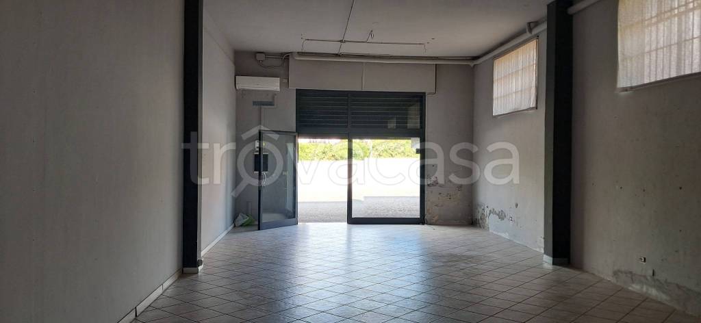 monolocale in affitto a Frosinone