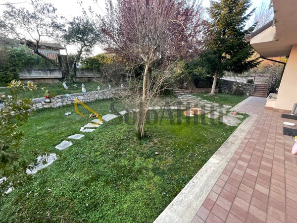quadrivano in affitto a Frosinone