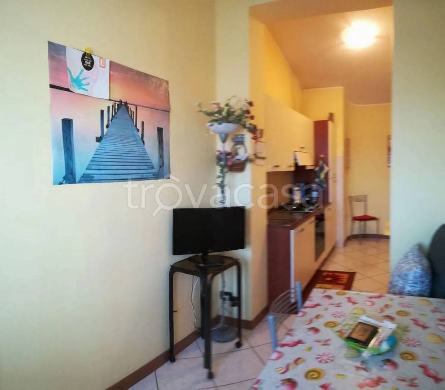 appartamento in affitto a Frosinone