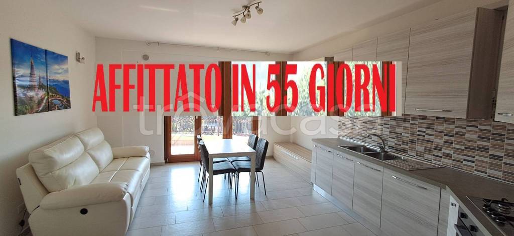 appartamento in affitto a Frosinone