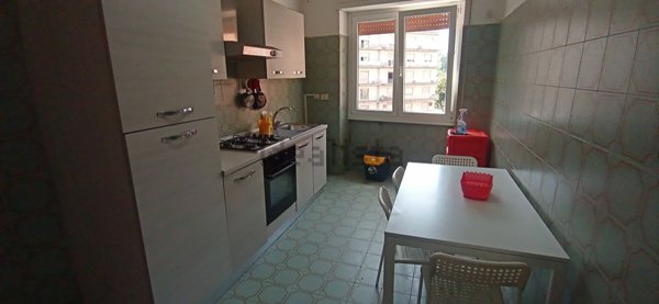 appartamento in affitto a Frosinone