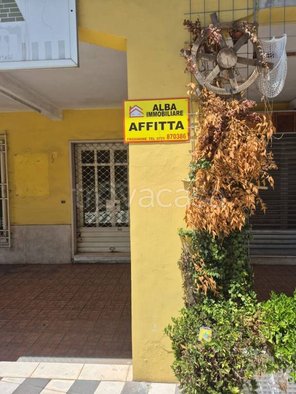 monolocale in affitto a Frosinone