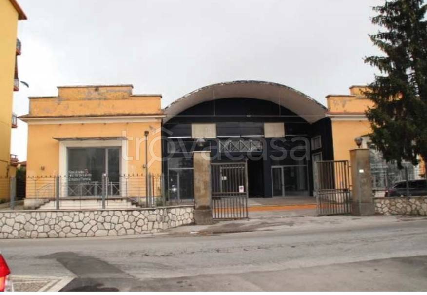 negozio in affitto a Frosinone