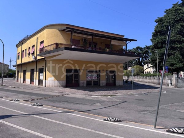 negozio in affitto a Frosinone