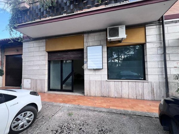 monolocale in affitto a Frosinone