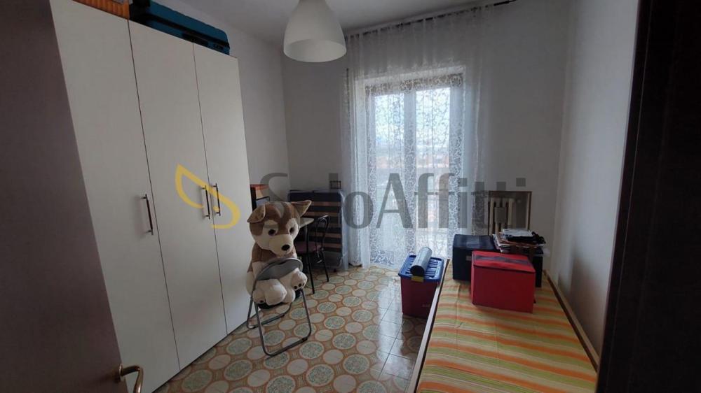 appartamento in affitto a Frosinone