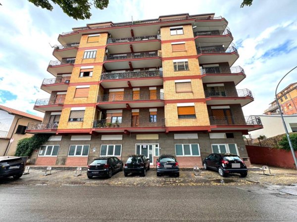 negozio in affitto a Frosinone