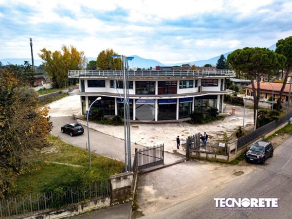 negozio in affitto a Frosinone