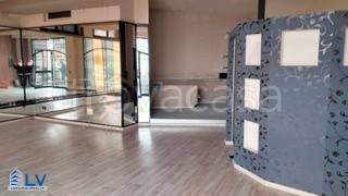 negozio in affitto a Frosinone