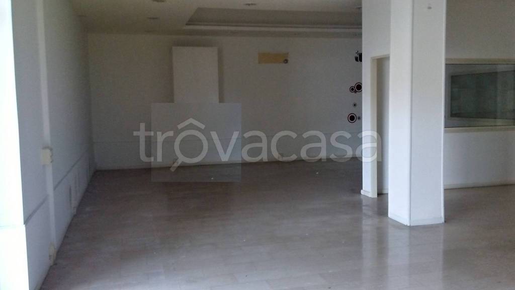 negozio in affitto a Frosinone