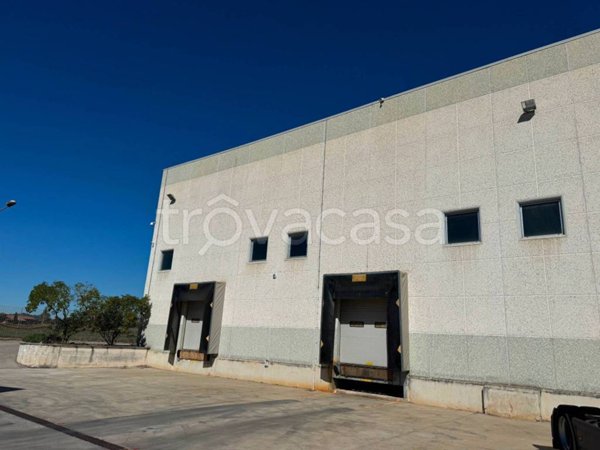 locale commerciale in affitto a Frosinone