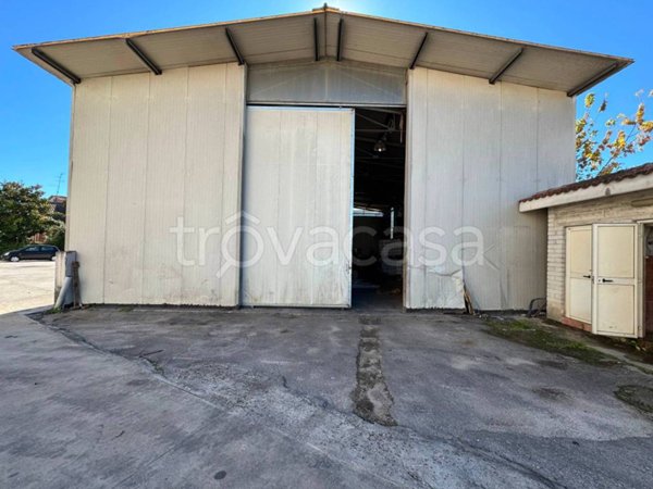 locale commerciale in affitto a Frosinone