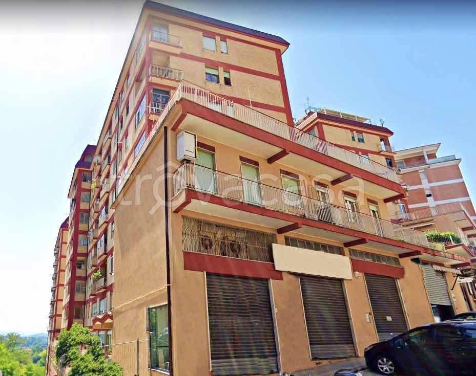 ufficio in affitto a Frosinone