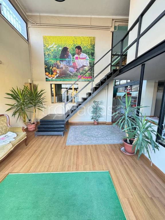 negozio in affitto a Frosinone