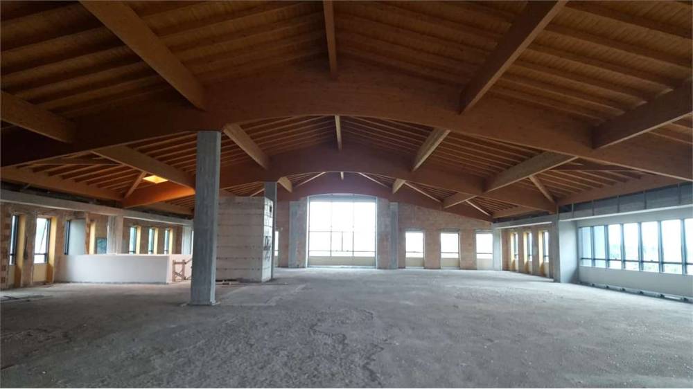 negozio in affitto a Frosinone