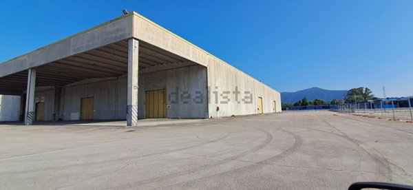 capannone in affitto a Frosinone