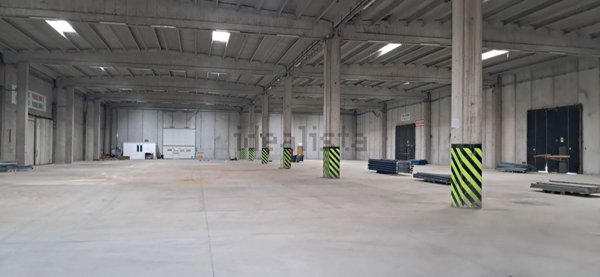 capannone in affitto a Frosinone