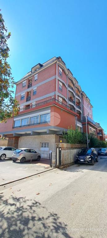 appartamento in affitto a Frosinone