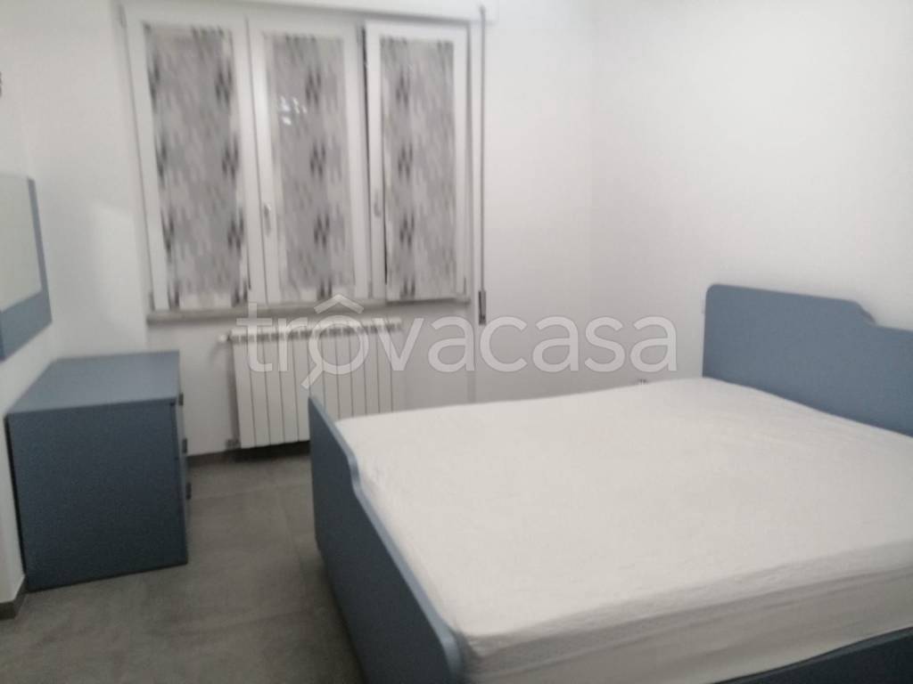 appartamento in affitto a Frosinone