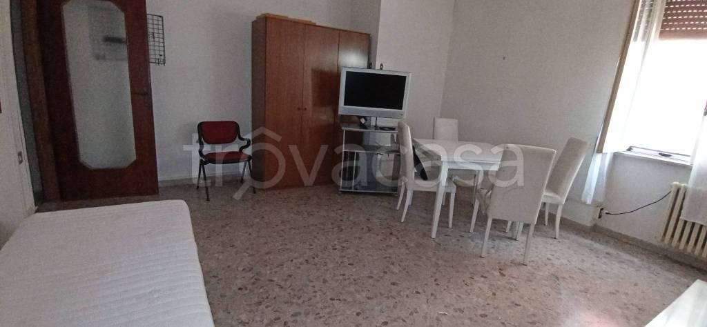 appartamento in affitto a Frosinone