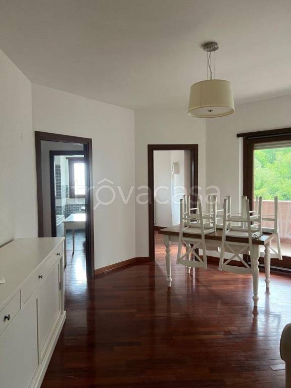 appartamento in affitto a Frosinone