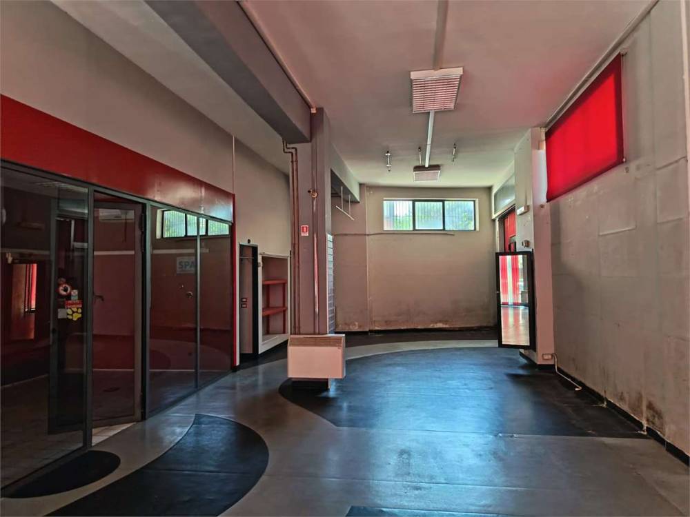 negozio in affitto a Frosinone