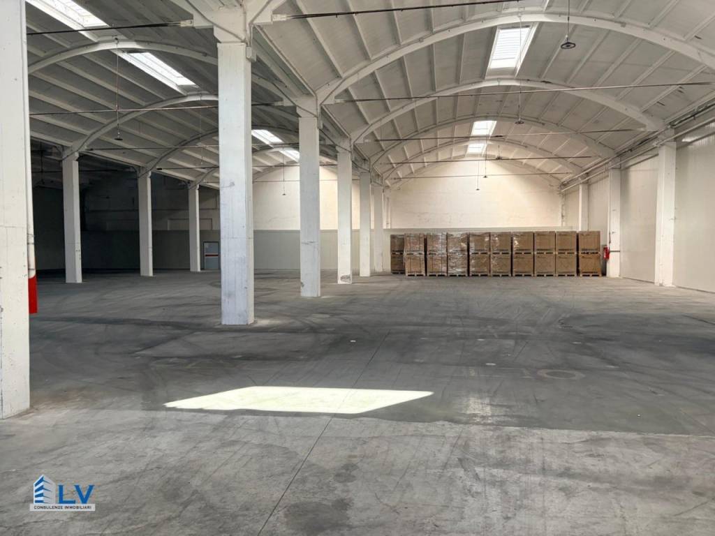 locale commerciale in affitto a Frosinone