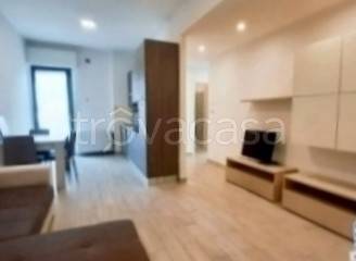 appartamento in affitto a Frosinone