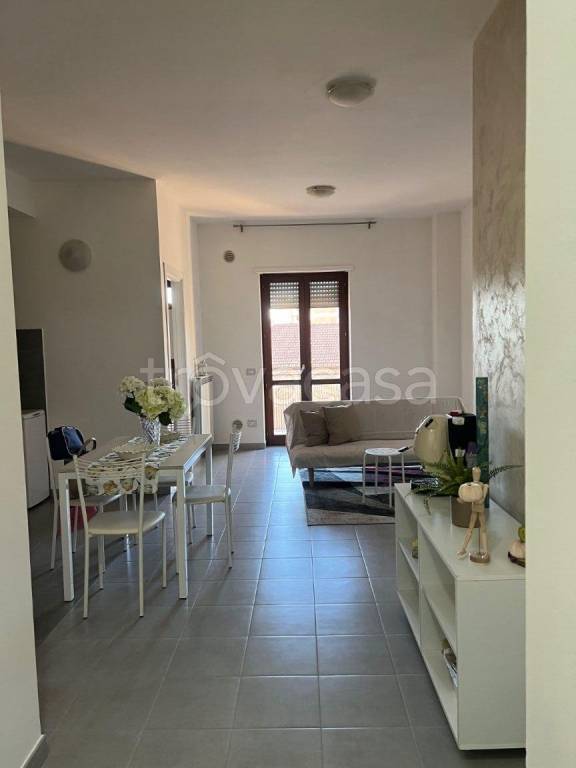 appartamento in affitto a Frosinone