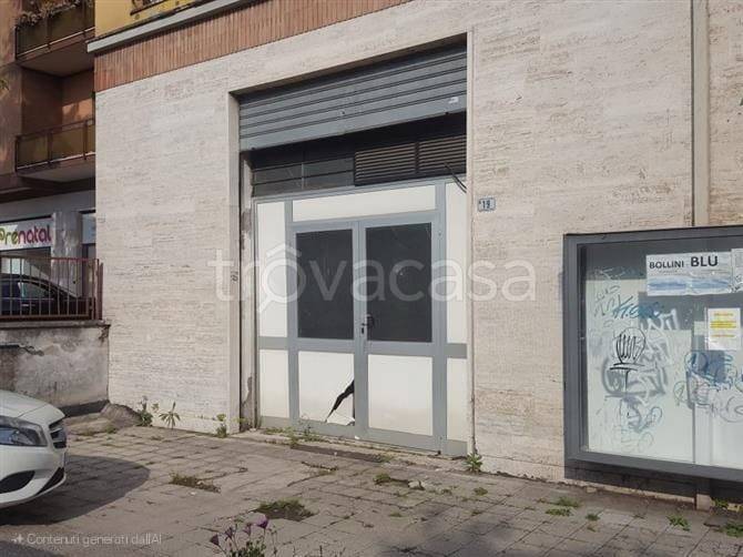 negozio in affitto a Frosinone