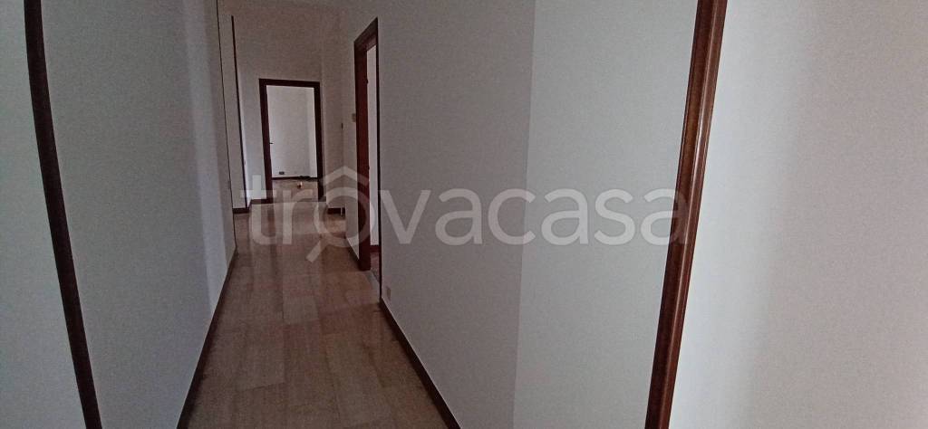 appartamento in affitto a Frosinone