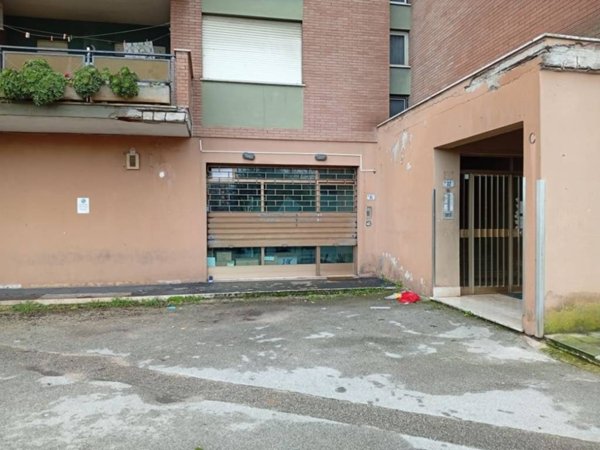 negozio in affitto a Frosinone