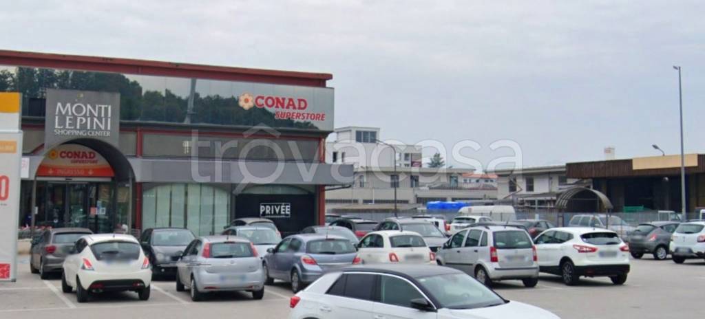 negozio in affitto a Frosinone
