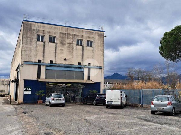 ufficio in affitto a Frosinone